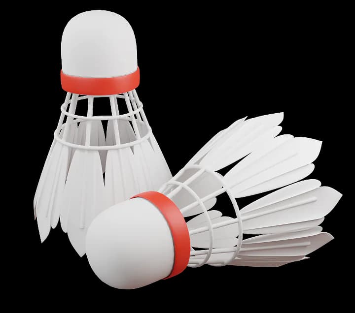 Badminton program illustration