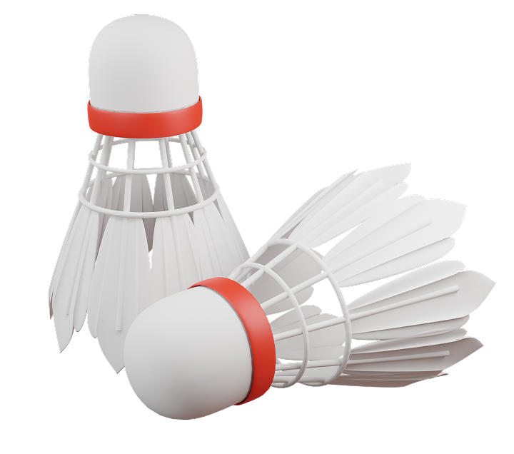 Badminton program illustration