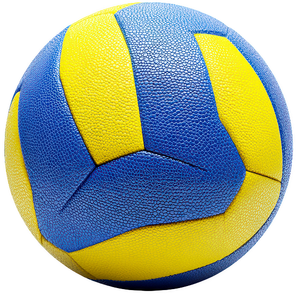 Volleyball program illustration